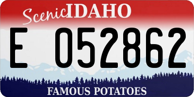 ID license plate E052862