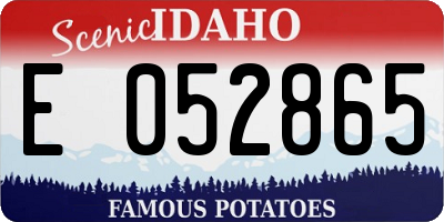 ID license plate E052865