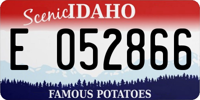 ID license plate E052866