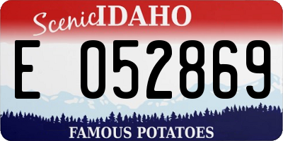 ID license plate E052869