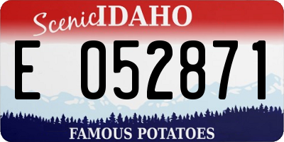 ID license plate E052871