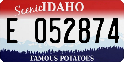 ID license plate E052874