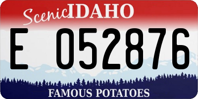 ID license plate E052876