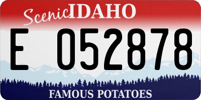 ID license plate E052878