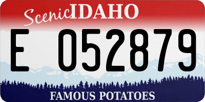 ID license plate E052879