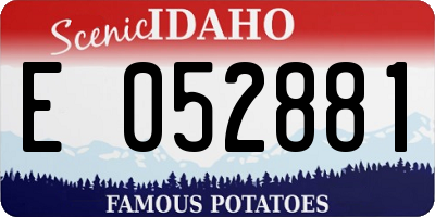 ID license plate E052881