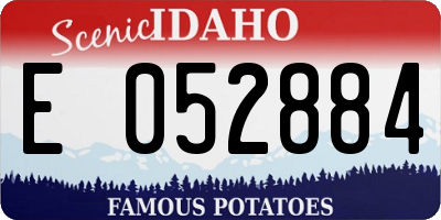ID license plate E052884