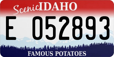 ID license plate E052893
