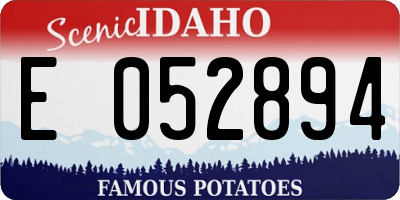 ID license plate E052894