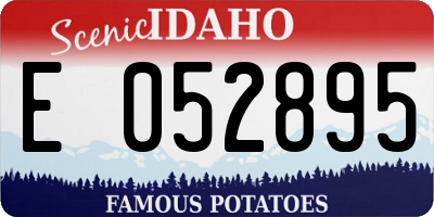 ID license plate E052895