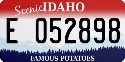ID license plate E052898