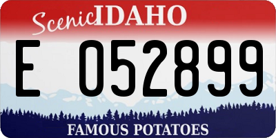 ID license plate E052899