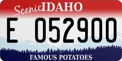 ID license plate E052900