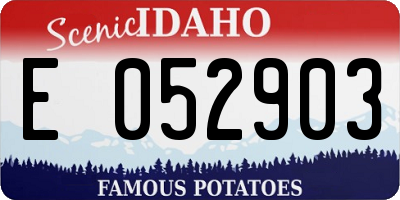 ID license plate E052903