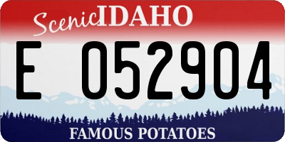 ID license plate E052904