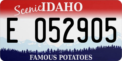 ID license plate E052905