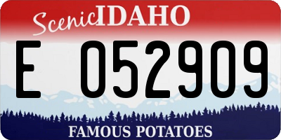 ID license plate E052909