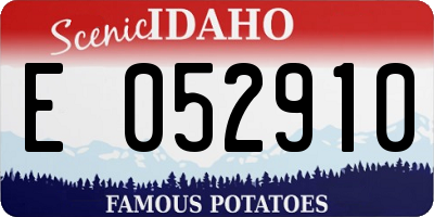 ID license plate E052910