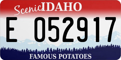 ID license plate E052917