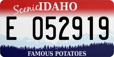 ID license plate E052919