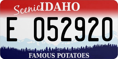 ID license plate E052920