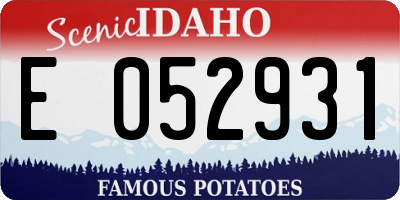 ID license plate E052931