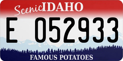 ID license plate E052933