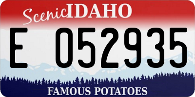 ID license plate E052935
