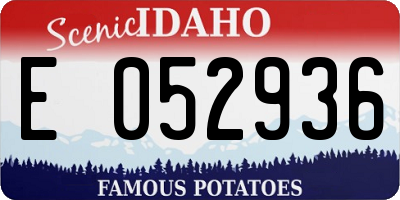 ID license plate E052936