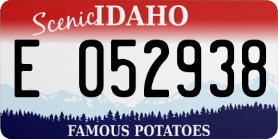 ID license plate E052938
