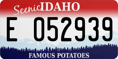 ID license plate E052939