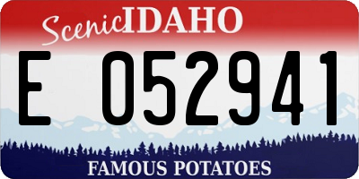 ID license plate E052941