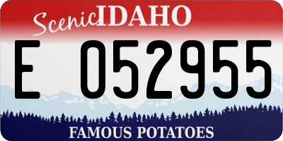 ID license plate E052955
