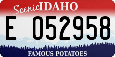 ID license plate E052958