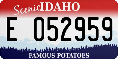 ID license plate E052959