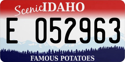 ID license plate E052963