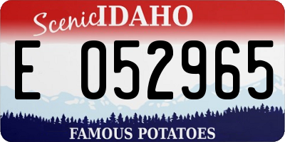 ID license plate E052965