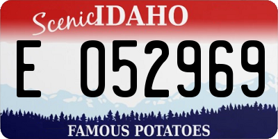 ID license plate E052969