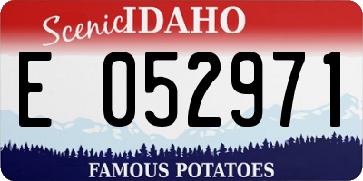 ID license plate E052971