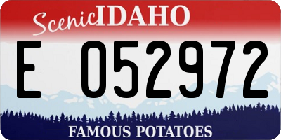 ID license plate E052972