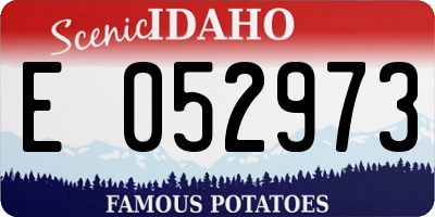 ID license plate E052973