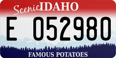 ID license plate E052980