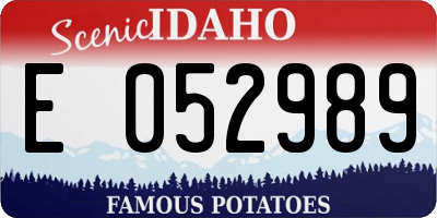 ID license plate E052989