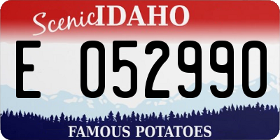 ID license plate E052990