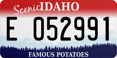 ID license plate E052991