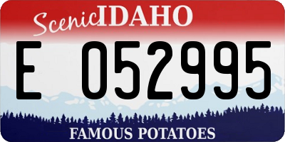 ID license plate E052995
