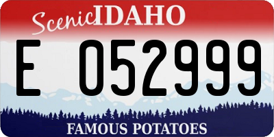 ID license plate E052999