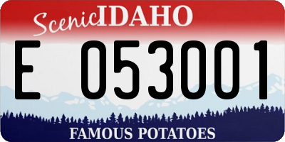 ID license plate E053001