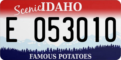 ID license plate E053010