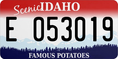 ID license plate E053019